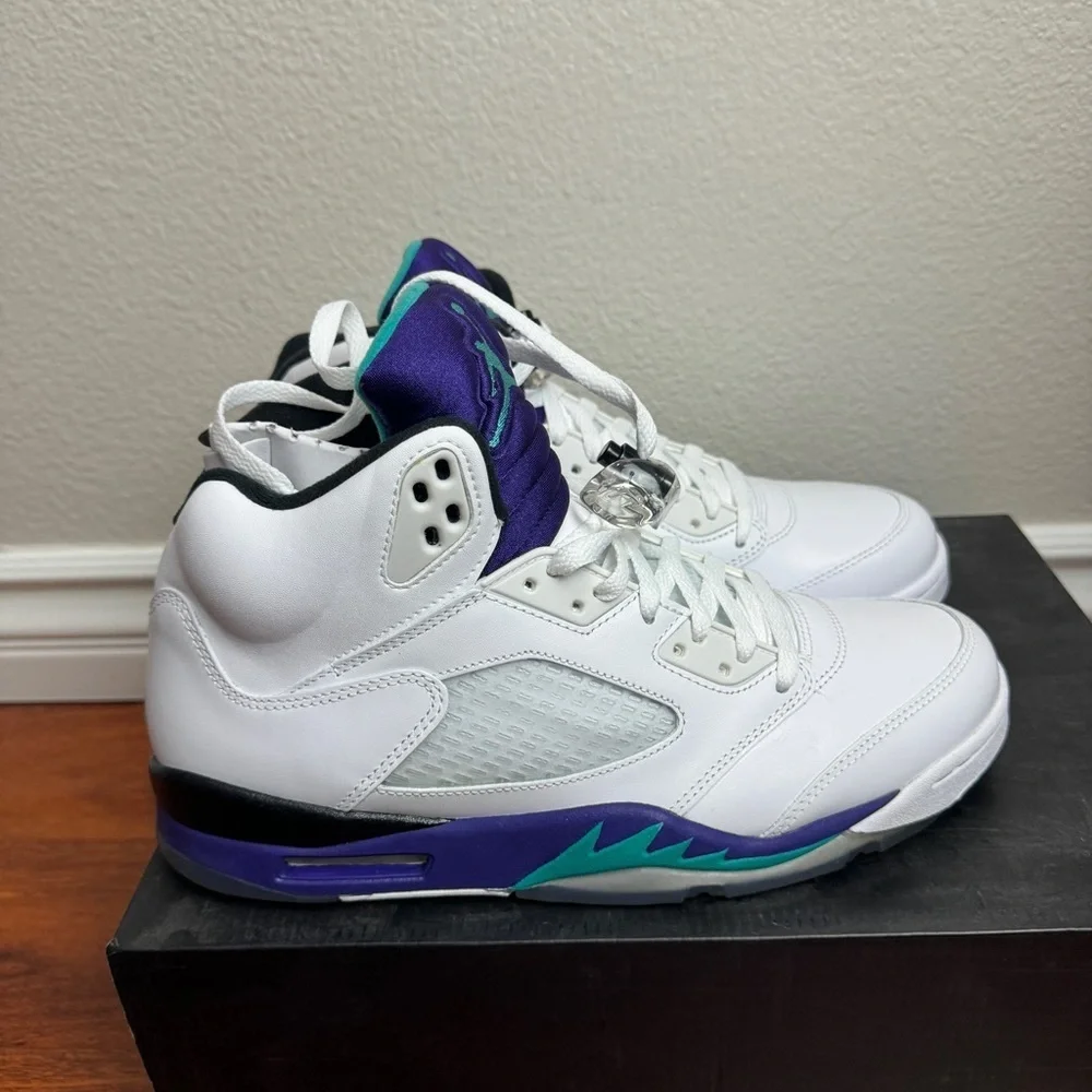 Jordan 5 Grape Retro 2013 Size 10.5